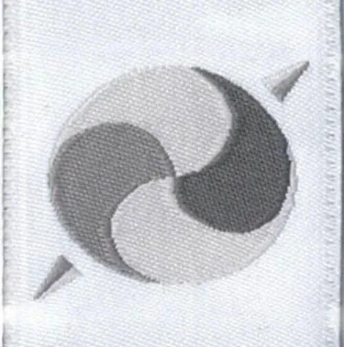Fita da Ordem dos Companheiros de OR Tambo (imagem ilustrativa da honraria).